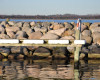 Multi Dock Fender